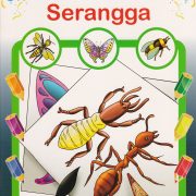 SERANGGA